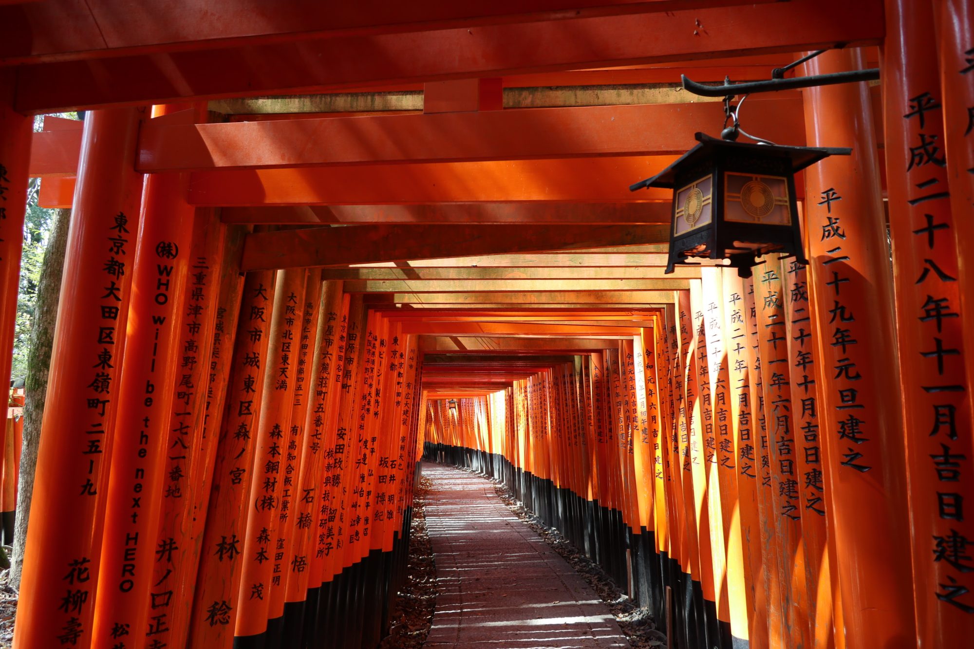 We are KWSE, or Kyoto Welcome Supporter English guides.