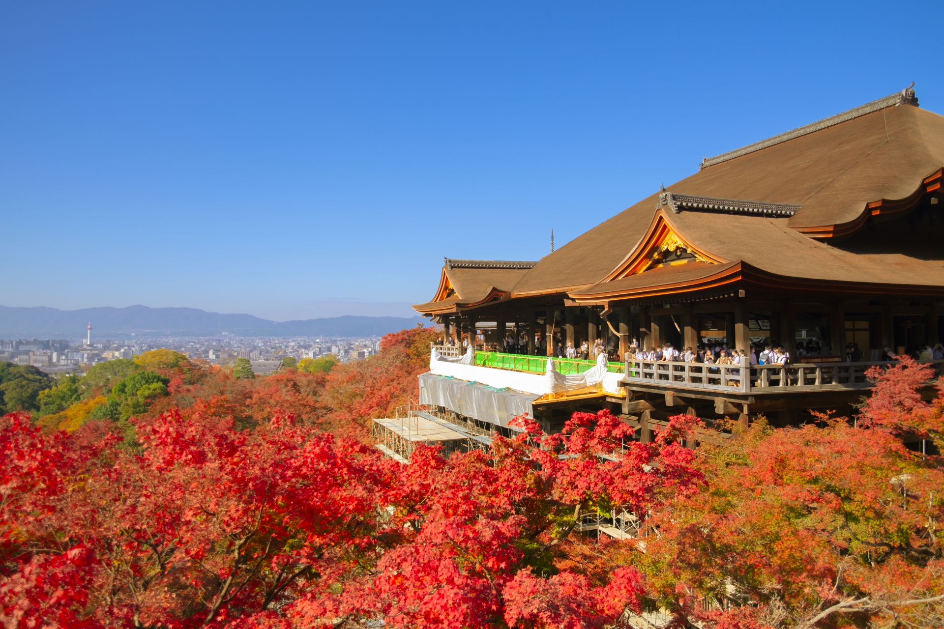 20251020 清水寺 紅葉 1